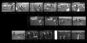 Contact Sheet 126 by