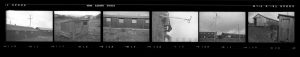 Contact Sheet 131 by