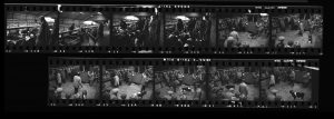 Contact Sheet 137 by