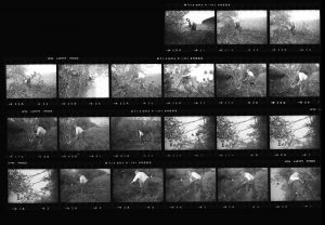 Contact Sheet 138 by