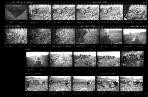 Contact Sheet 139 by