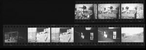 Contact Sheet 142 by