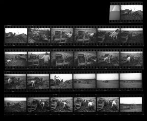Contact Sheet 146 by