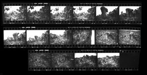 Contact Sheet 149 by
