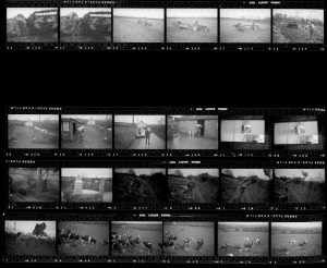 Contact Sheet 150 by