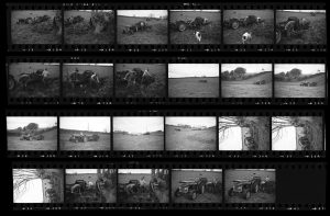 Contact Sheet 151 by