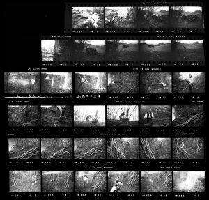 Contact Sheet 152 by