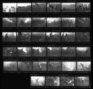 Contact Sheet 153 by
