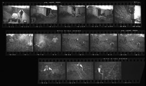 Contact Sheet 155 by