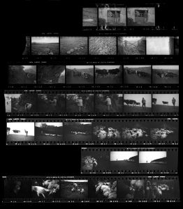 Contact Sheet 163 by