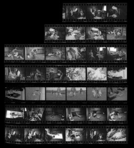 Contact Sheet 169 by