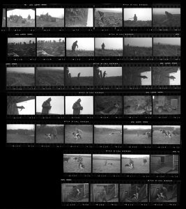 Contact Sheet 173 by
