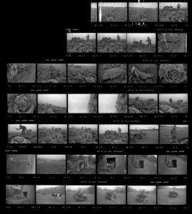 Contact Sheet 177 by