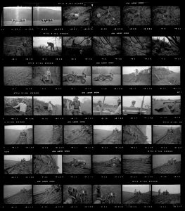 Contact Sheet 178 by