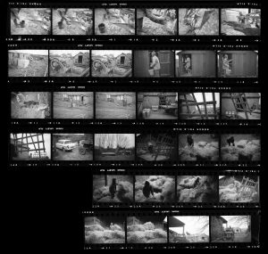 Contact Sheet 180 by