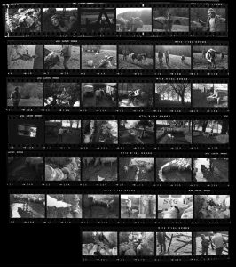 Contact Sheet 181 by