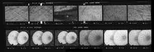 Contact Sheet 184 by