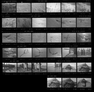 Contact Sheet 189 by