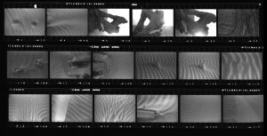 Contact Sheet 191 by