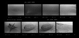 Contact Sheet 195 by