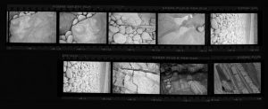 Contact Sheet 196 by