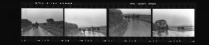 Contact Sheet 199 by