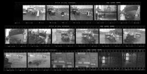 Contact Sheet 203 by