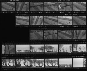 Contact Sheet 206 by