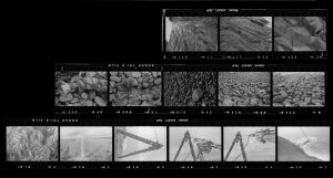 Contact Sheet 207 by