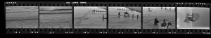 Contact Sheet 212 by