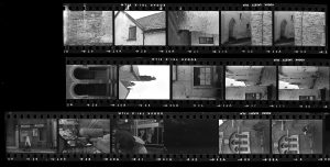 Contact Sheet 219 by