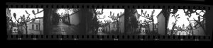 Contact Sheet 232 by