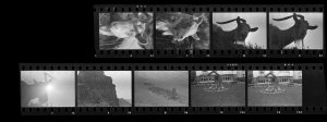 Contact Sheet 235 by
