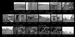 Contact Sheet 243 by