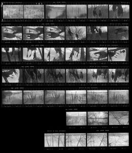 Contact Sheet 254 by