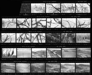 Contact Sheet 255 by