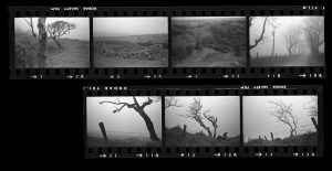 Contact Sheet 256 by