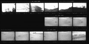Contact Sheet 264 by