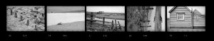 Contact Sheet 290 by