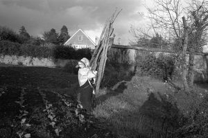 Vegetable garden with scarecrow by James Ravilious