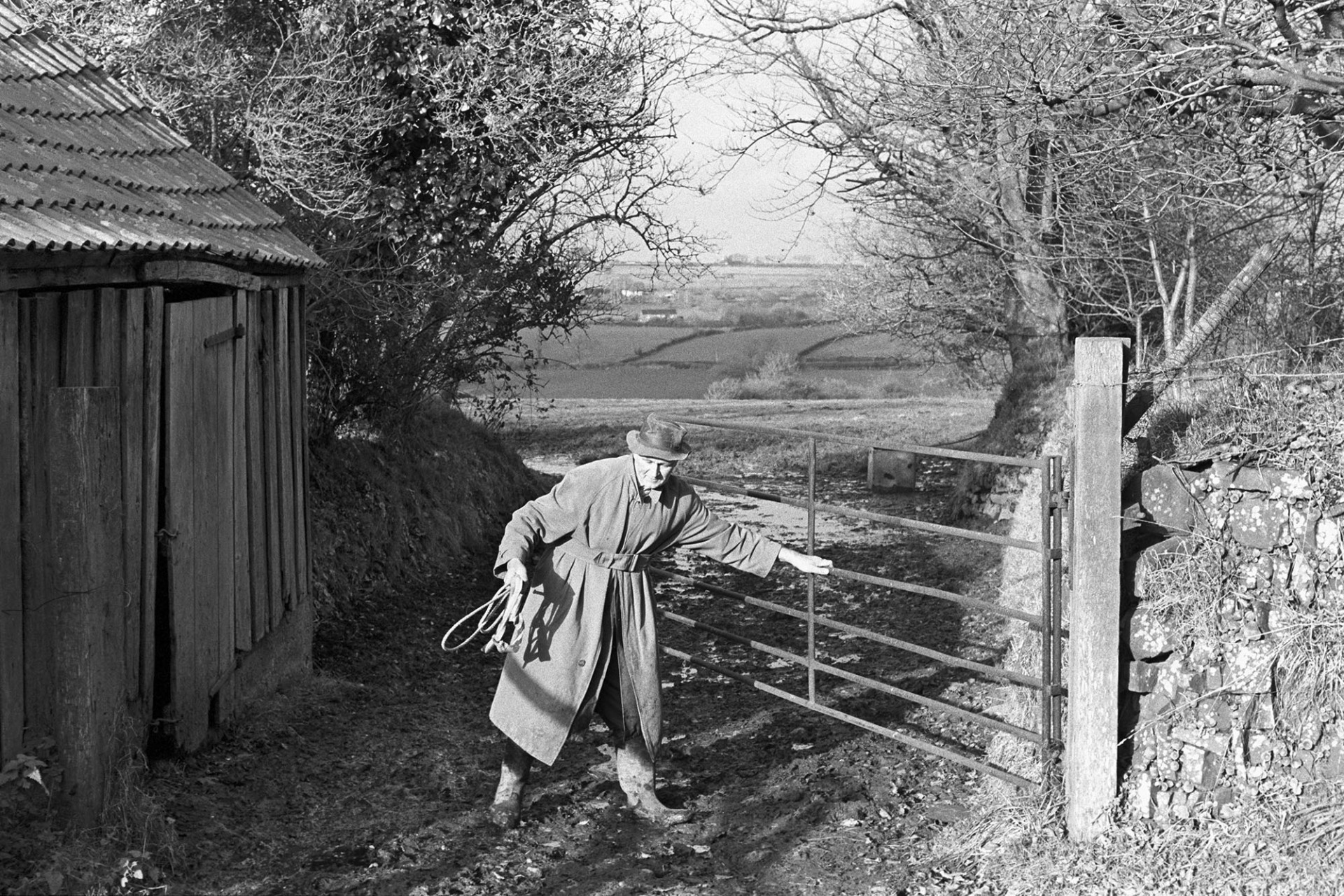 Farmer opening gate.
[Keith Allin opening a field gate next to a corrugated iron shed, at Cawseys, Roborough.]