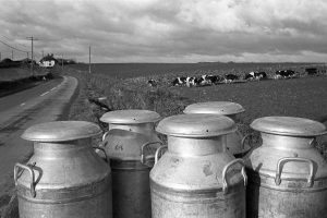 Milk churns near Beaford by James Ravilious