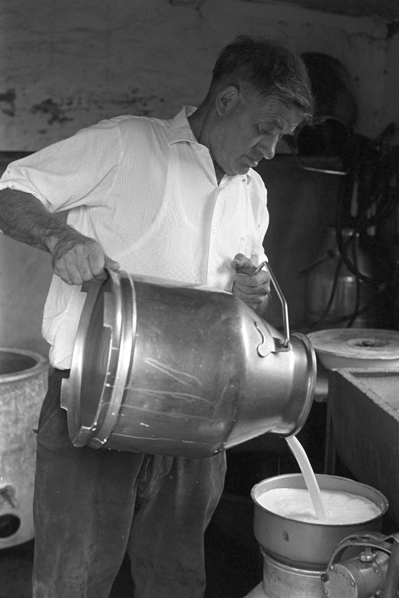 Milking Parlour, Churns.
[Frank Pickard pouring milk into milk churns at Woolridge, Dolton.]