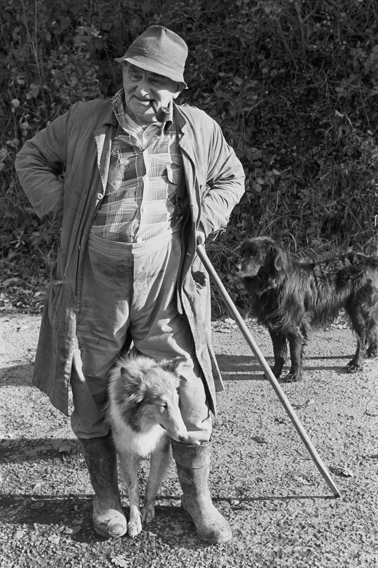 Archie Parkhouse with his dogs by James Ravilious