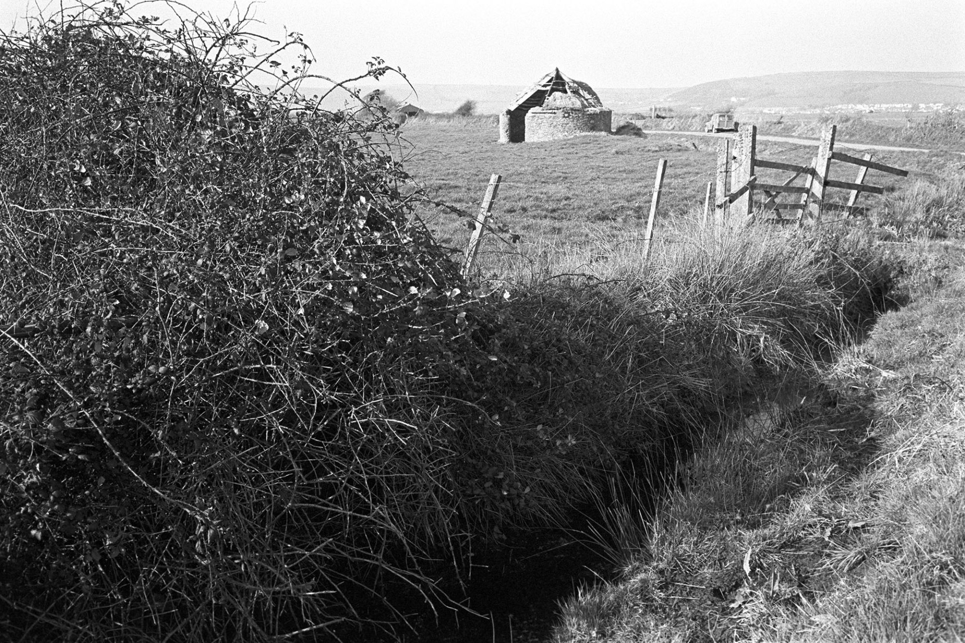 Round barn in landscape with brambles. 
[A ruined, circular thatched barn in a field at Braunton Burrows. In the foreground is a wooden fence and ditch adjacent to the field.]
