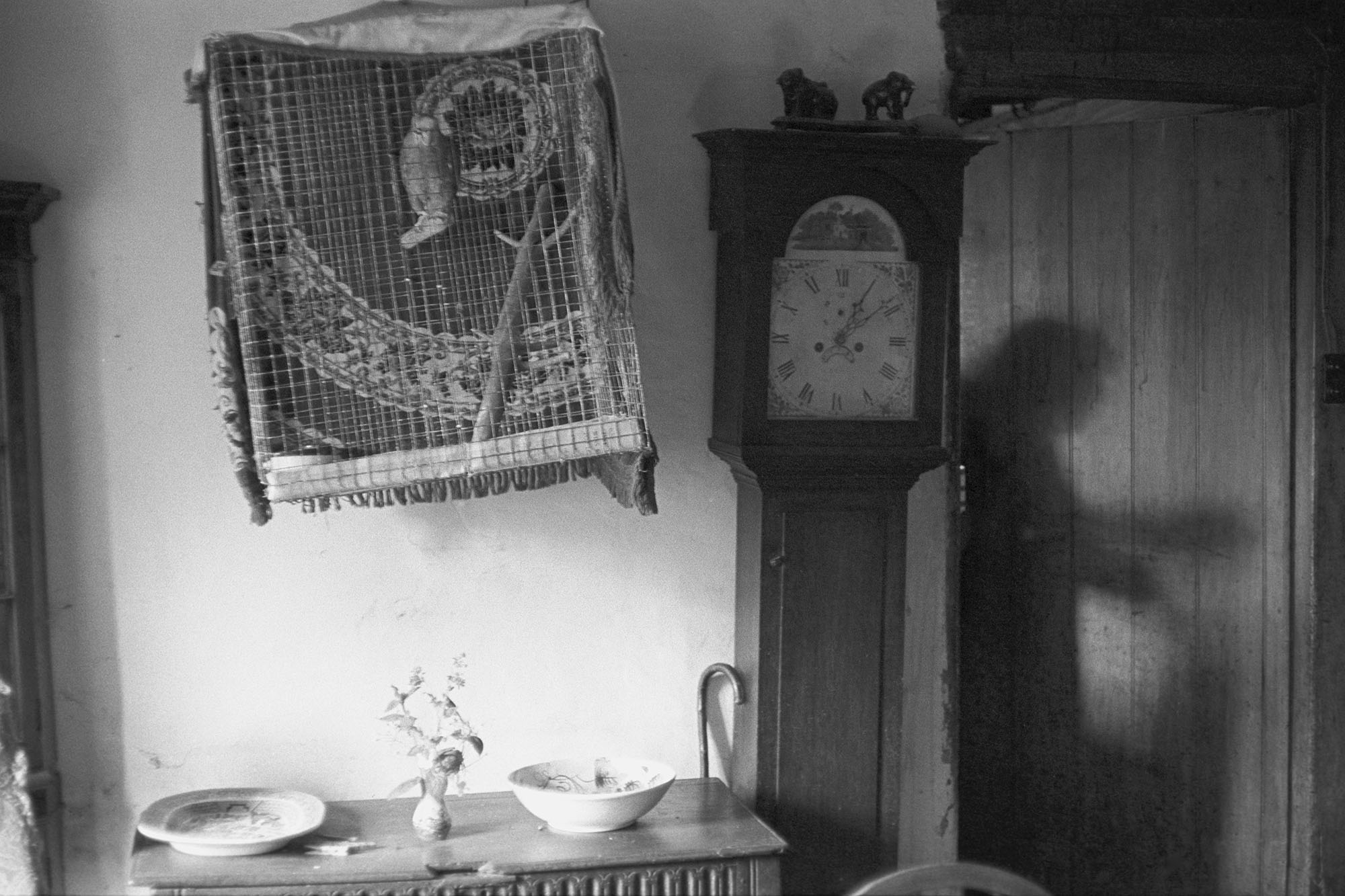Farm interior with birdcage and grandfather clock. 
[An room in the farmhouse at Hole Farm, Black Torrington. The shadow of Miss Johnson who is making tea can be seen in the doorway.]