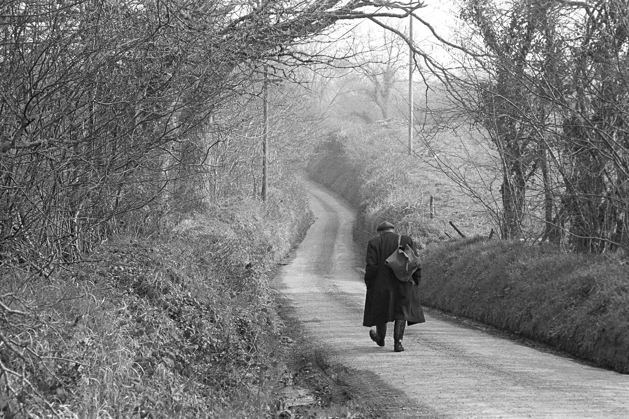 Farmworker walking up lane. 
[Ivor Brock walking along West Lane, Addisford, Dolton. The lane is flanked by trees and hedges.]