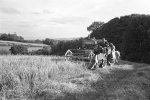 Owen Holwill combine harvesting at Ashwell by James Ravilious
