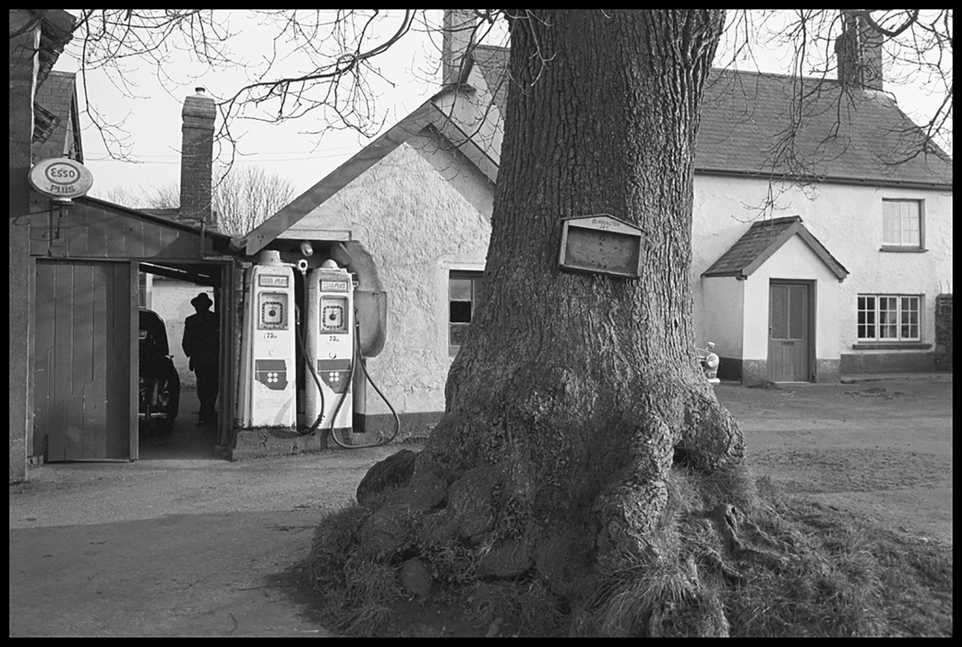 Village square with oak tree and petrol pumps.<br />
[Jim Western silhouetted in his garage by the village oak tree at Burrington. Old petrol pumps and an ESSO sign are visible in the background.]