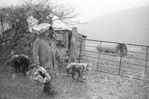 Archie Parkhouse going home after feeding his sheep in the snow by James Ravilious